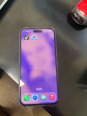 Apple iPhone 14 Pro Max - 256 GB - Silver (Unlocked)