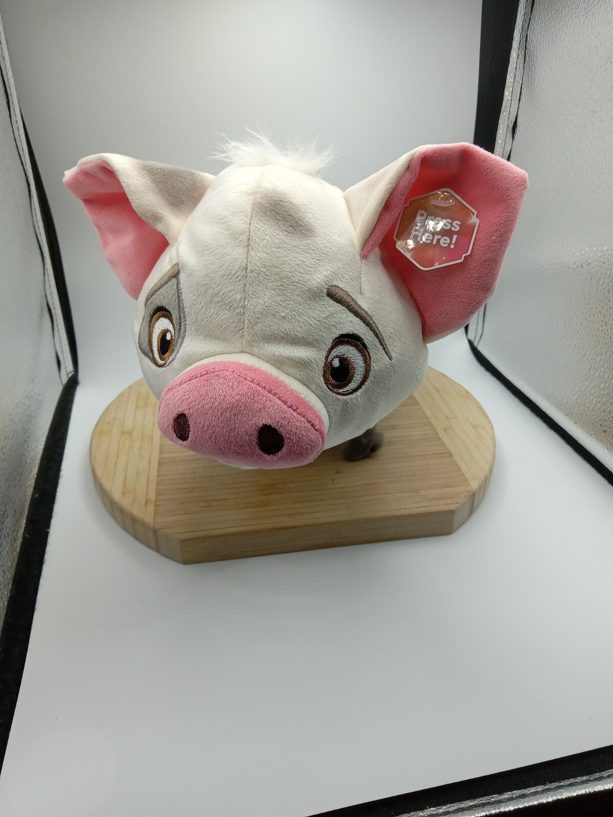 Picture 10 of 12