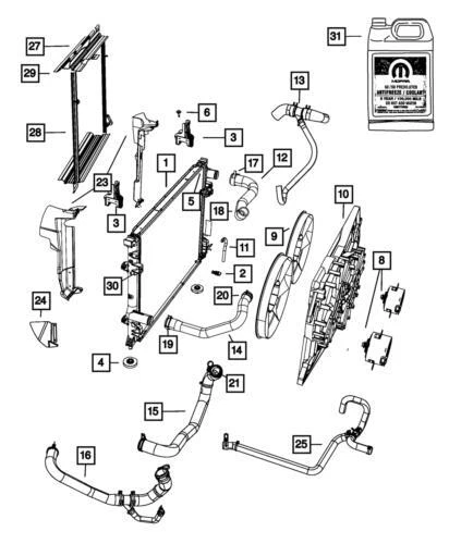 Manguera de entrada de radiador delantero genuino Mopar 2005-2010 Dodge Challenger 55038118AA Foto 3 de 3
