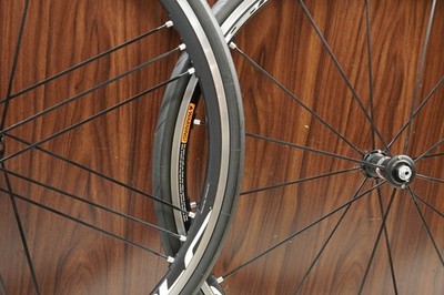 Campagnolo Shamal Ultra C15 Clincher Wheelset, Freehub 9-12s
