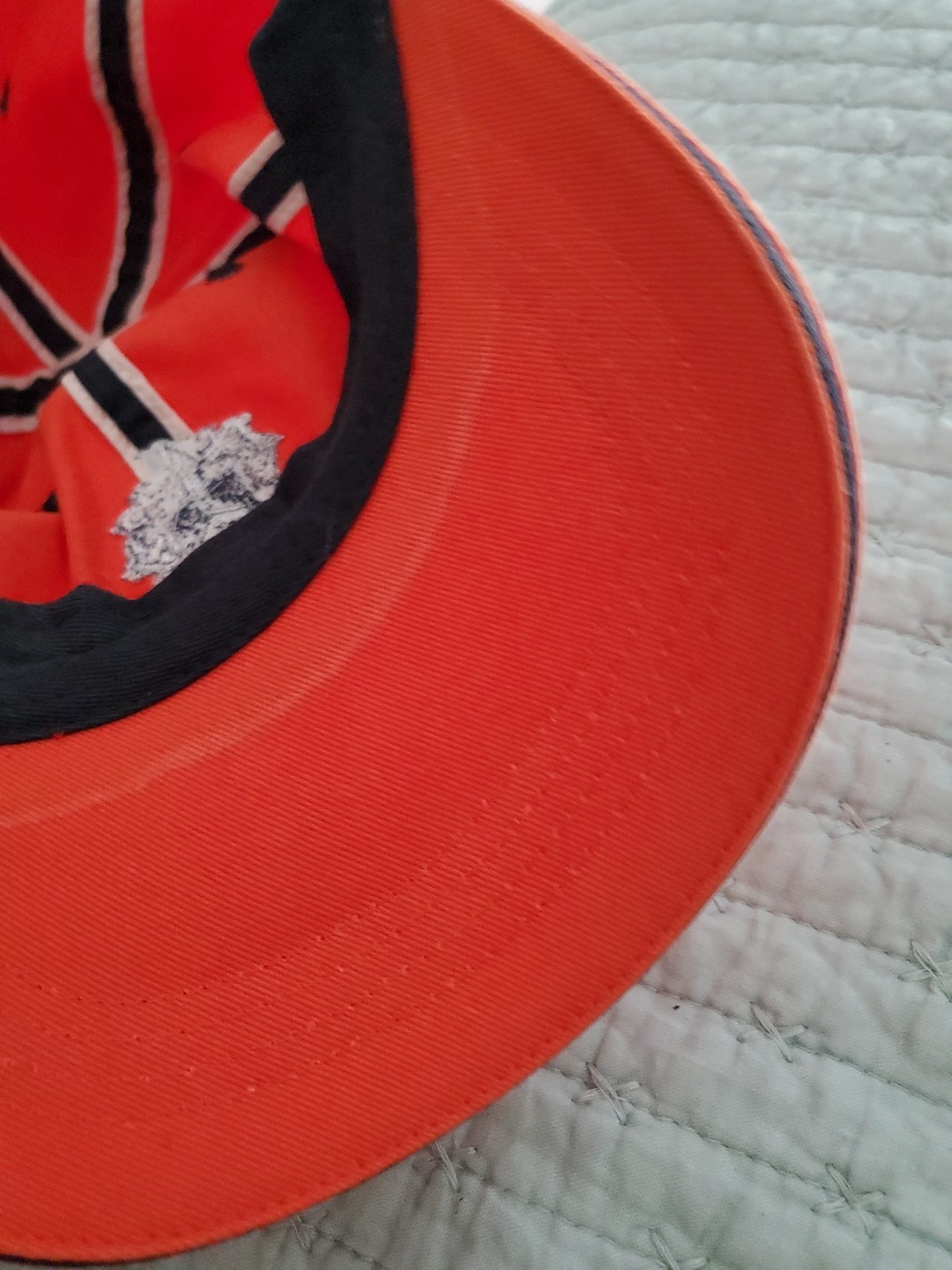 Bild 11 von 12