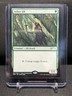 Arbor Elf Wizards Play Network Promo Magic MTG 2021 NM