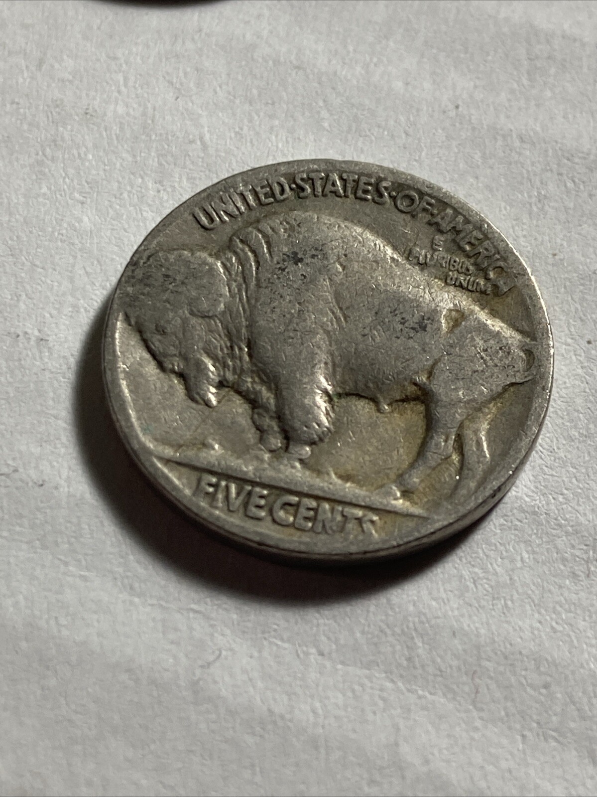 Picture 12 of 12