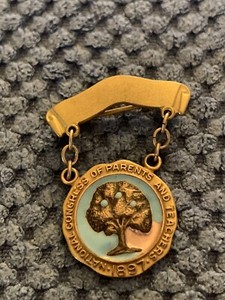 Vintage National Congress of Parents And Teachers PTA Service Award Pin 