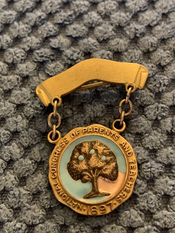 Vintage National Congress of Parents And Teachers PTA Service Award Pin 