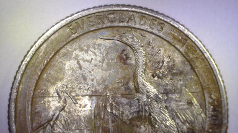 2014 D Florida Everglades Quarter Strong Die Clash - Image 3 of 4