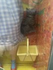 Bild 2 von 7