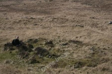 Photo 6x4 Hut Circle, Na Leacan, Islay Ardbeg/NR4146 One of many interes c2009