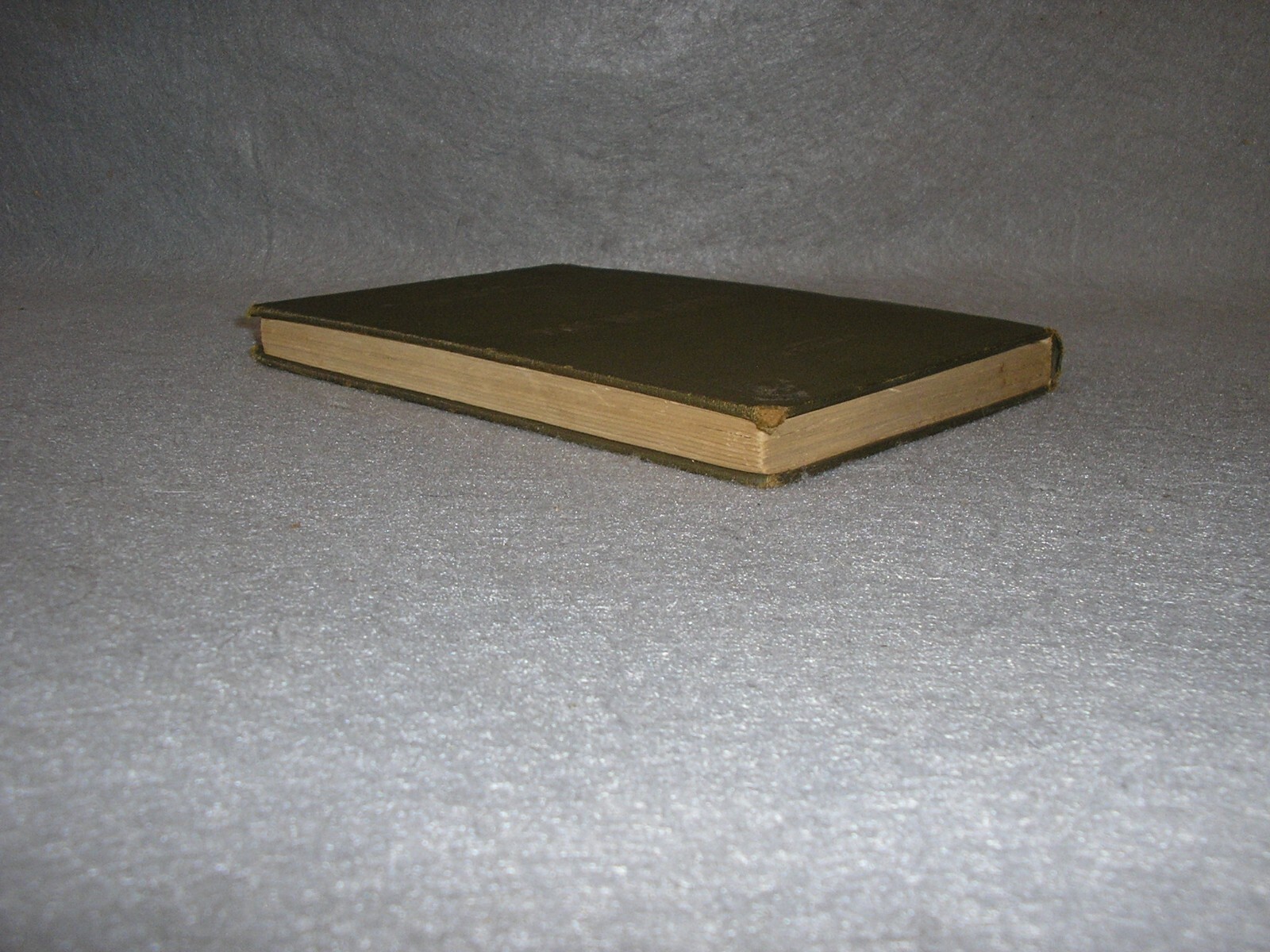 Picture 6 of 19