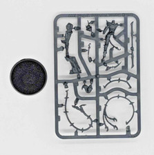 Warhammer High Gladiatrix - Dark Elves - Daughters of Khaine - New On Sprue