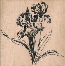 Irises 4 1/4 x 4 1/4" Rubber Stamp, Flower Stamp, Plant Stamp