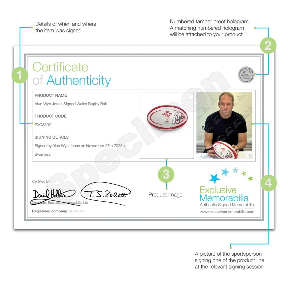 Balón de rugby de Gales firmado por Alun Wyn Jones Foto 3 de 4