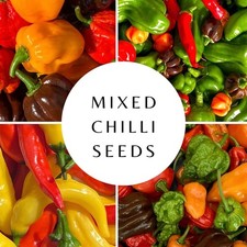 Mixed Chilli Seeds - Mild / Medium and Hot !!! - 100% Genuine, UK stock