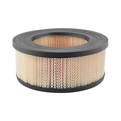 Air Filter-VIN: A Baldwin Filters PA1648