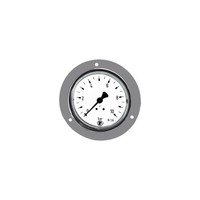 Riegler Standardmano. Frontring Verchr. G 1/8 Hinten 0 - 2,5 Bar Ã˜ 40
