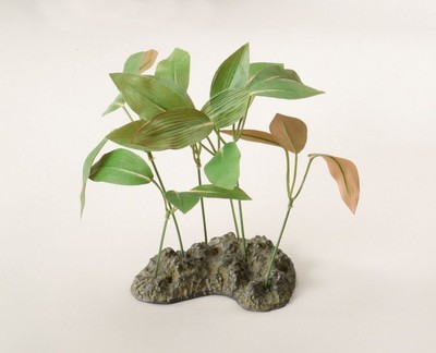 Aquarium Dekoration Flora Decor Seidenpflanze Pondweed ebi Süßwasser Grün