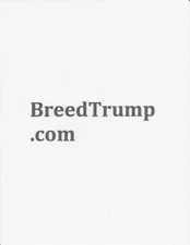 BreedTrump.com Domain Name For Sale