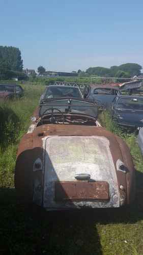 JAGUAR XK120 OTS - 1952 - SCHEUNENFUND!! - Bild 3 von 9