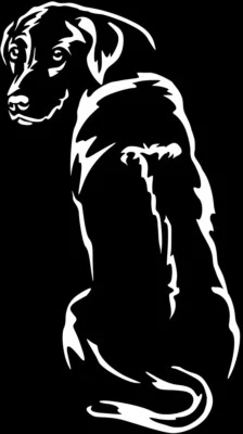 RHODESIAN RIDGEBACK Aufkleber - Ridgeback Autoaufkleber - sticker - Kontur #88 - Bild 1 von 3