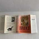 Bild 12 von 19