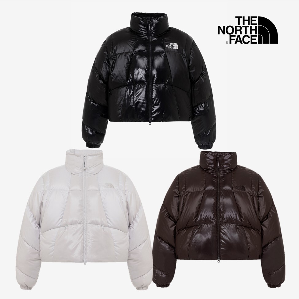【THE NORTH FACE】W S WAVE RDS DOWN JACKET The North Face Korea W'S WAVE RDS DOWN JACKET BROWN ASIAN