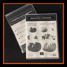 Stampin' Up BEAUTIFUL PUMPKINS Stamps  DIES  NEW   4843