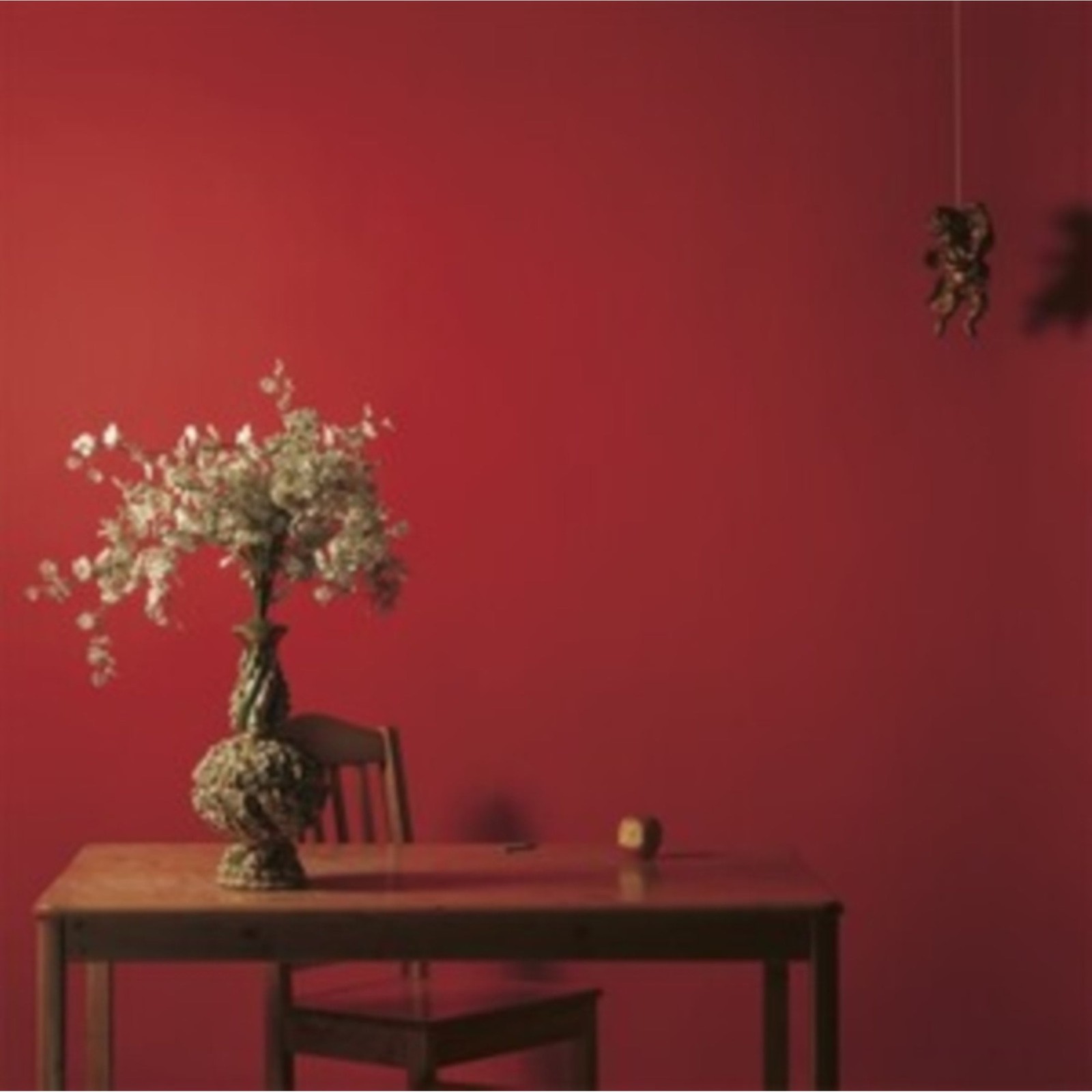 Bild 5 von 5