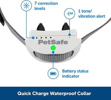 Petsafe PIG00-17441 In-Ground Classic Fence Rechargeable  Waterproof Receiver