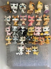 Littlest Pet Shop *You Pick* Cats, Persian, Bon-Bon, Kitten,  Longhair, etc!