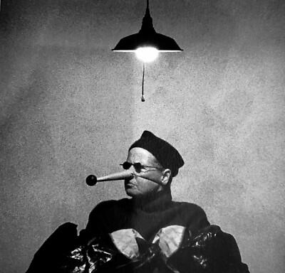 New SIGNED Jack Davison A is for Ant Alphabet Photographs