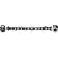 Ae Nockenwelle Einlassseite Passend FüR Nissan Cabstar Murano Navara NP300 NT400