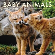 2026 Baby Animals Wall Calendar