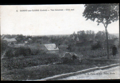 BONNY-sur-LOIRE (45) VILLEN & WEINBERGE belebt 1924