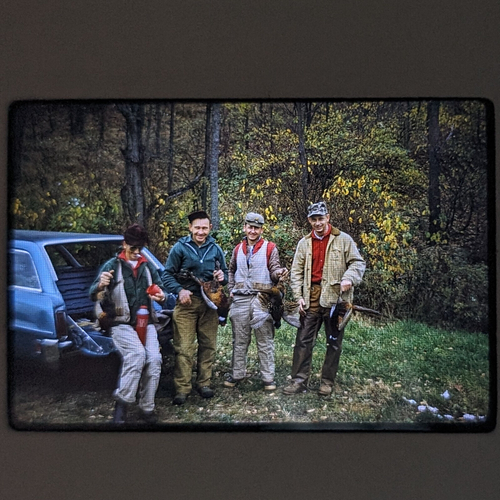 Vintage Kodachrome Slides Pheasant Hunters Birds 1968 - Picture 3 of 5