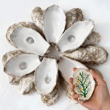 30Pcs 4"-6" Oyster Shells for Crafts Natural Large Oyster Shells for DIY Craf...