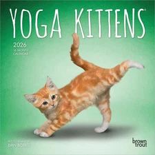 BrownTrout,  Yoga Kittens 2026 Mini Wall Calendar, 7'' X 7'', 16-Month Calendar