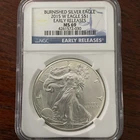 2015 W Burnished $1 Silver Eagle Early Releases NGC MS 69 (Blue Label)