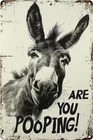 Funny Donkey are You Pooping? Tin Metal Signs Vintage Farmhouse Bathroom Wall Dé