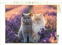 Calvendo Puzzle Lavendelduft & KatzenglüCk | 2000 Teile Lege-GrößE 90 × 67 Cm Fo