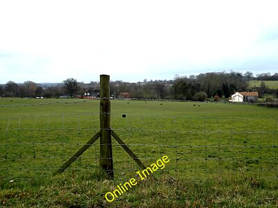 Photo 12x8 Hebridean Sheep in a field off Skeet's Hill Hawes' Green Lookin c2014