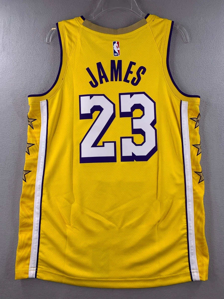 Nike NBA Lebron James Los Angeles Lakers City Edition Men's T-Shirt  AV4646-729