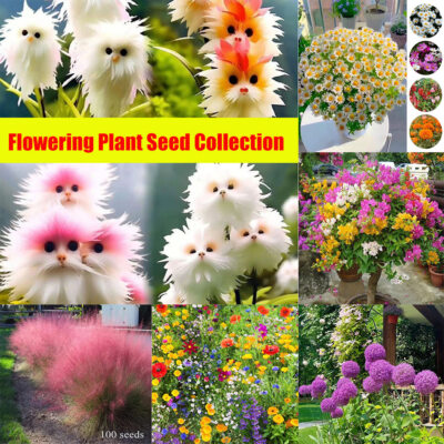 Garden Treasures - Frische Blumensamen Zum Selberziehen Für Drinnen Und  