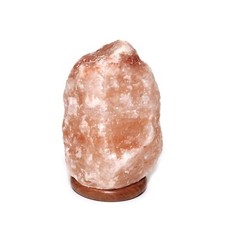 Massive Authentic Himalayan Salt Lamp 50-60 lbs
