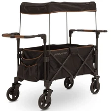 Stroller Wagon for 2 Kids Versatile Stroller Wagon with Canopy Push/Pull Handles