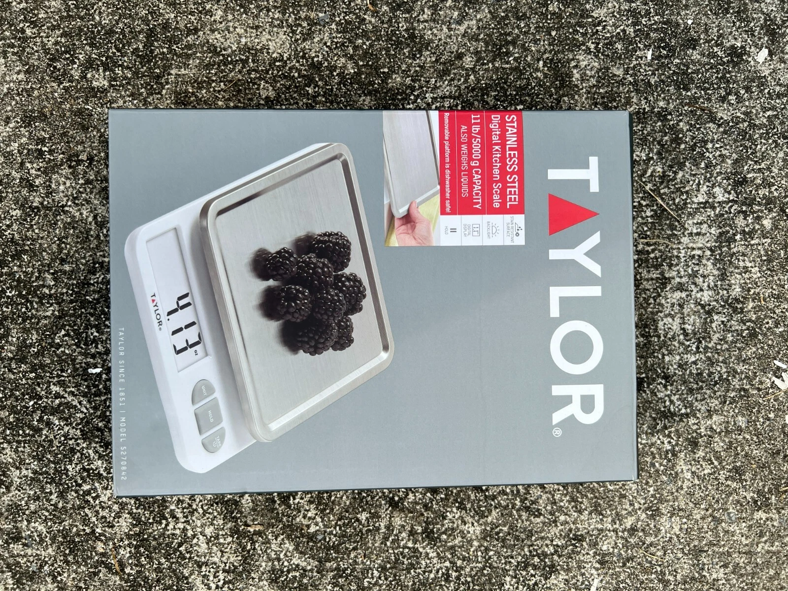 Taylor Stainless Steel Kitchen Scale