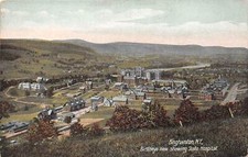 Binghampton New York Birdseye View, Showing State Hospital,Color Lithograph PC U
