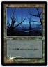 Swamp - Foil - MTG Arena League 1999 Promo - RareCo