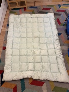 Vintage Down Filled Eiderdown Throw Blanket