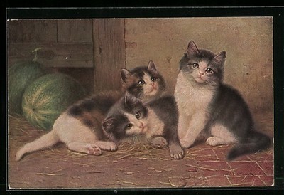 Artist postcard three young cats on a stable floor 1923 