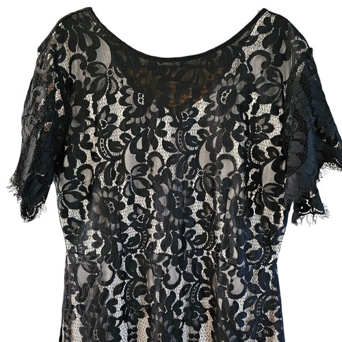 MSLG Women's Elegant Round Neck Dress V-Back Wedding Floral Lace Cocktail Party - Picture 3 of 15